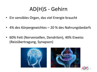 AD(H)S - Gehirn
• Ein sensibles Organ, das viel Energie braucht
• 4% des Körpergewichtes – 20 % des Nahrungsbedarfs
• 60% Fett (Nervenzellen, Dendriten), 40% Eiweiss
(Reizübertragung, Synapsen)
13
 