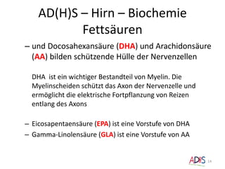 AD(H)S – Hirn – Biochemie
Fettsäuren
– und Docosahexansäure (DHA) und Arachidonsäure
(AA) bilden schützende Hülle der Nervenzellen
DHA ist ein wichtiger Bestandteil von Myelin. Die
Myelinscheiden schützt das Axon der Nervenzelle und
ermöglicht die elektrische Fortpflanzung von Reizen
entlang des Axons
– Eicosapentaensäure (EPA) ist eine Vorstufe von DHA
– Gamma-Linolensäure (GLA) ist eine Vorstufe von AA
14
 
