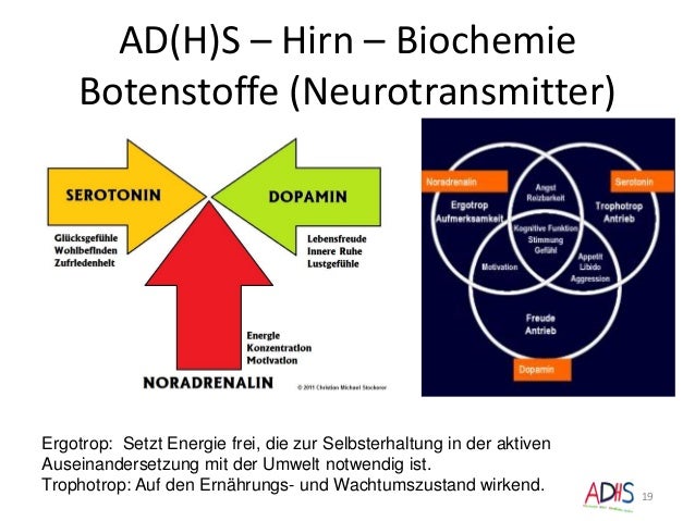 Botenstoffe Im Gehirn Durcheinander Symptome de.slideshare.net