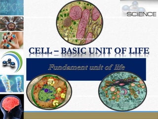 CELL – BASIC UNIT OF LIFE
 
