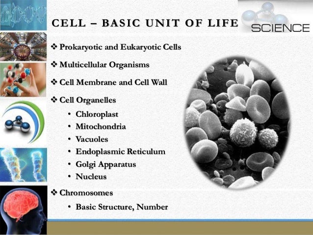 basic unit of life