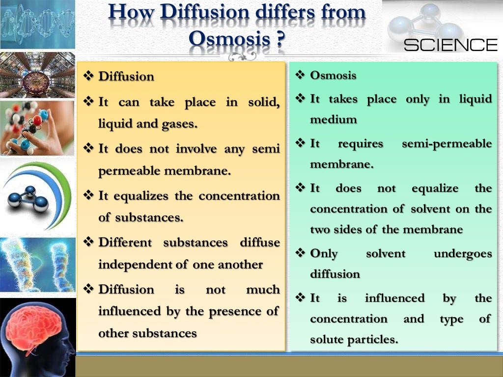 The Fundamental Unit Of Life Class 9th By ADHWEAT GUPTA