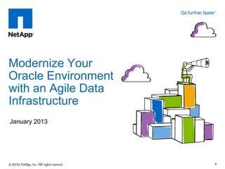Modernize Your
Oracle Environment
with an Agile Data
Infrastructure
January 2013




                     1
 