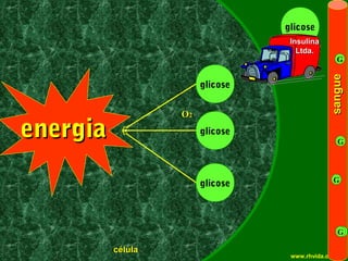 glicose
                                                        Insulina
                                                          Ltda.
                                                                       G




                                                                    sangue
                                             glicose


                                        O2

         energia                             glicose
                                                                       G



                                                                     G
                                             glicose



                                                                       G

                               célula
Copyright © RHVIDA S/C Ltda.                            www.rhvida.com.br
 