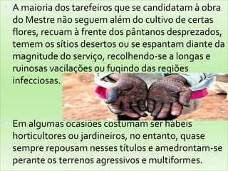 A maioria dos tarefeiros que se candidatam à obra do Mestre não seguem além do cultivo de certas flores, recuam à frente dos pântanos desprezados, temem os sítios desertos ou se espantam diante da magnitude do serviço, recolhendo-se a longas e ruinosas vacilações ou fugindo das regiões infecciosas.Em algumas ocasiões costumam ser hábeis horticultores ou jardineiros, no entanto, quase sempre repousam nesses títulos e amedrontam-se perante os terrenos agressivos e multiformes.
