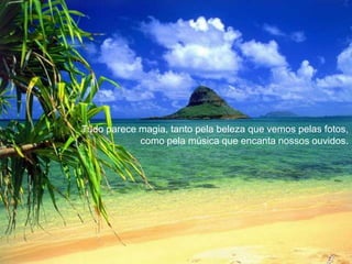 Tudo parece magia, tanto pela beleza que vemos pelas fotos, como pela música que encanta nossos ouvidos.