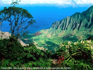 Caso não, ele é quem está cantando a bela canção de fundo.