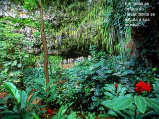 Em todos os cantos do Havai, ainda se escuta a sua música. 