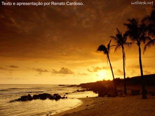 Texto e apresentação por Renato Cardoso.