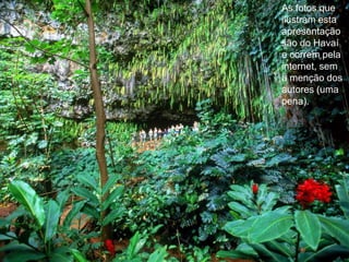 As fotos que ilustram esta apresentação são do Havaí e correm pela internet, sem a menção dos autores (uma pena).