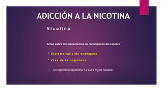 ADICCIÓN A LA NICOTINA
Actúa sobre los mecanismos de recompensa del cerebro
* S i s t e m a o p i o i d e e n d ó g e n o
* V í a s d e l a d o p a m i n a
Un cigarrillo proporciona 1.2 a 2.9 mg de nicotina.
N i c o t i n a
 