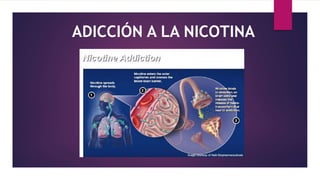 ADICCIÓN A LA NICOTINA
 