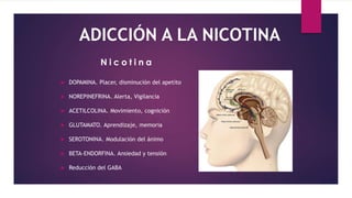 ADICCIÓN A LA NICOTINA
 DOPAMINA. Placer, disminución del apetito
 NOREPINEFRINA. Alerta, Vigilancia
 ACETILCOLINA. Movimiento, cognición
 GLUTAMATO. Aprendizaje, memoria
 SEROTONINA. Modulación del ánimo
 BETA-ENDORFINA. Ansiedad y tensión
 Reducción del GABA
N i c o t i n a
 