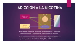 ADICCIÓN A LA NICOTINA
T
P
p
G
A
B
A
Dopamina
Glutamato
inputs
Núcleo
Acumbens
 Las neuronas GABA envían proyecciones descendentes al TPP y proporcionan
aferencias inhibitorias a las neuronas DA. Ambas se activan por la nicotina.
 Las poblaciones neuronales reciben entradas glutamatérgicas excitatorias, que
pueden regular la actividad relativa de GABA y DA en el VTA.
V T A
 