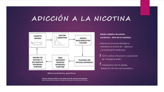 Nicotine: Addiction, Effects on the Adolescent Brain and Electronic Cigarettes
Neal L Benowitz MD Professor of Medicine University of California San Francisco
R e f o r z a m i e n t o p o s i t i v o
_ Estado subjetivo de euforia,
excitación, alivio de la ansiedad.
- Mejorar las funciones fisiológicas,
intensificar la actitud de vigilancia
y el rendimiento intelectual.
- ACTH, cortisol, influye en la capacidad
de "manejar el estrés".
- metabolismo de CH, lipolisis.
- Relajación de músculo esquelético.
ADICCIÓN A LA NICOTINA
 