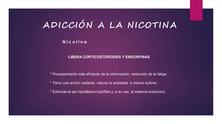 LIBERA CORTICOSTEROIDES Y ENDORFINAS
* Procesamiento más eficiente de la información, reducción de la fatiga.
* Tiene una acción sedante, reduce la ansiedad e induce euforia.
* Estimula el eje hipotálamo-hipófisis y, a su vez, al sistema endocrino.
N i c o t i n a
ADICCIÓN A LA NICOTINA
 
