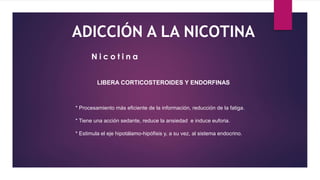 ADICCIÓN A LA NICOTINA
LIBERA CORTICOSTEROIDES Y ENDORFINAS
* Procesamiento más eficiente de la información, reducción de la fatiga.
* Tiene una acción sedante, reduce la ansiedad e induce euforia.
* Estimula el eje hipotálamo-hipófisis y, a su vez, al sistema endocrino.
N i c o t i n a
 