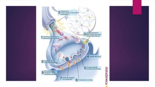 Adicción a la nicotina