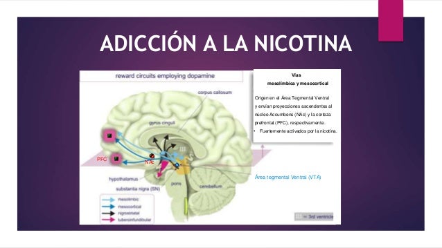 Adicción a la nicotina