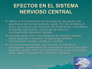 EFECTOS EN EL SISTEMA NERVIOSO CENTRAL Afecta el funcionamiento de las áreas de asociación: los guardianes del comportamiento social. Por ello se altera el juicio, se produce una liberación de inhibiciones y los adictos presentan agresividad, reacciones de pánico y eventualmente depresión agitada. Las altas dosis crean una sensación de fortaleza mental, poder personal y muscular, produciendo también alucinaciones visuales, auditivas y táctiles. Las ilusiones paranoides, que incluyen la idea de ser perseguidos, combinados con la sensación excesiva de poder personal, pueden hacer de la persona que consume grandes dosis, alguien sumamente antisocial y peligroso. MGTER ANDREA AGRELO 