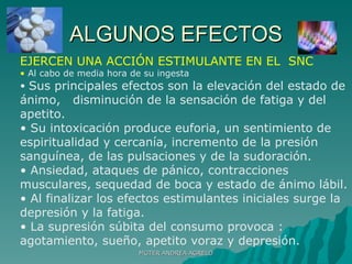 ALGUNOS EFECTOS EJERCEN UNA ACCIÓN ESTIMULANTE EN EL  SNC Al cabo de media hora de su ingesta Sus principales efectos son la elevación del estado de ánimo,  disminución de la sensación de fatiga y del apetito.  Su intoxicación produce euforia, un sentimiento de espiritualidad y cercanía, incremento de la presión sanguínea, de las pulsaciones y de la sudoración. Ansiedad, ataques de pánico, contracciones musculares, sequedad de boca y estado de ánimo lábil. Al finalizar los efectos estimulantes iniciales surge la depresión y la fatiga.  La supresión súbita del consumo provoca : agotamiento, sueño, apetito voraz y depresión. MGTER ANDREA AGRELO 