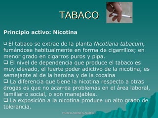 TABACO Principio activo: Nicotina El tabaco se extrae de la planta  Nicotiana tabacum,  fumándose habitualmente en forma de cigarrillos; en menor grado en cigarros puros y pipa.  El nivel de dependencia que produce el tabaco es muy elevado, el fuerte poder adictivo de la nicotina, es semejante al de la heroína y de la cocaína La diferencia que tiene la nicotina respecto a otras drogas es que no acarrea problemas en el área laboral, familiar o social, o son manejables. La exposición a la nicotina produce un alto grado de tolerancia. MGTER ANDREA AGRELO 