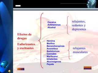 Cocaína Anfetaminas Alcohol Heroína Morfina Benzodiacepinas Ansiolítico Barbitúricos Cannabis Marihuana Inhalantes Alucinógenos Peyote relajantes,  sedantes y depresores relajantes  musculares Efectos de drogas  Euforizantes y excitantes  