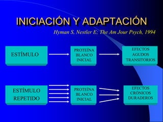 INICIACIÓN Y ADAPTACIÓN
ESTÍMULO
PROTEÍNA
BLANCO
INICIAL
PROTEÍNA
BLANCO
INICIAL
ESTÍMULO
REPETIDO
EFECTOS
AGUDOS
TRANSITORIOS
EFECTOS
CRÓNICOS
DURADEROS
Hyman S, Nestler E; The Am Jour Psych, 1994
 