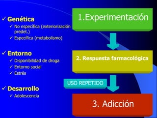 1.Experimentación
2. Respuesta farmacológica
3. Adicción
 Genética
 No específica (exteriorización
predet.)
 Específica (metabolismo)
 Entorno
 Disponibilidad de droga
 Entorno social
 Estrés
 Desarrollo
 Adolescencia
USO REPETIDO
 