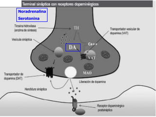 Noradrenalina
Serotonina
 