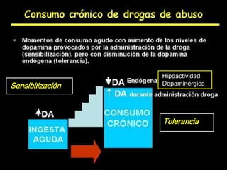Hipoactividad
DopaminérgicaSensibilización
Tolerancia
 