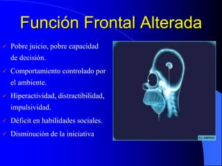 Función Frontal Alterada
 Pobre juicio, pobre capacidad
de decisión.
 Comportamiento controlado por
el ambiente.
 Hiperactividad, distractibilidad,
impulsividad.
 Déficit en habilidades sociales.
 Disminución de la iniciativa
 