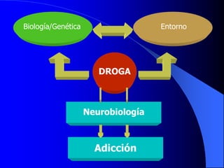 Biología/Genética Entorno
DROGA
Neurobiología
Adicción
 