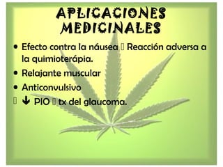 APLICACIONES
MEDICINALES
• Efecto contra la náusea  Reacción adversa a
la quimioterápia.
• Relajante muscular
• Anticonvulsivo
  PIO  tx del glaucoma.
 