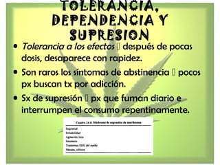 TOLERANCIA,
DEPENDENCIA Y
SUPRESION
• Tolerancia a los efectos  después de pocas
dosis, desaparece con rapidez.
• Son raros los síntomas de abstinencia  pocos
px buscan tx por adicción.
• Sx de supresión  px que fuman diario e
interrumpen el consumo repentinamente.
 