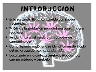 INTRODUCCION
• Es la sustancia ilegal consumida con mayor
frecuencia.
• 7-10% de la población mundial son consumidores
regulares.
• Se identifico en el cerebro un receptor de
cannabinoides 
• Como ligando endógeno se identifico un derivado
del ác. araquidónico anandamida: 
• Localizado en la corteza cerebral, hipocampo,
cuerpo estriado y cerebelo.
 