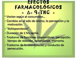 EFECTOS
FARMACOLÓGICOS
- Δ- 9-THC -
* Varían según el consumidor…
- Cambios en el edo de ánimo, la percepción y la
motivación.
- “Achispamiento”
- Duración de 2 hrs apróx.
- Trastorno de funciones cognoscitivas, percepción,
tiempo de reacción, aprendizaje, memoria.
- Trastorno de la coordinación y conducta de
persecución.
 