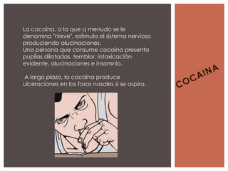 La cocaína, a la que a menudo se le
denomina "nieve", estimula el sistema nervioso
produciendo alucinaciones.
Una persona que consume cocaína presenta
pupilas dilatadas, temblor, intoxicación
evidente, alucinaciones e insomnio.

A largo plazo, la cocaína produce
ulceraciones en las fosas nasales si se aspira.
 