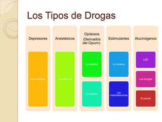 Los Tipos de Drogas
                                Opiáceos
Depresores      Anestésicos    (Derivados    Estimulantes     Alucinógenos
                               del Opium)



                                                                   LSD
                                La codeína     La cocaína




Los sedativos    La ketamina                                    Los hongos




                                                  Las
                                La morfina
                                             metanfetaminas
                                                                 El peyote
 