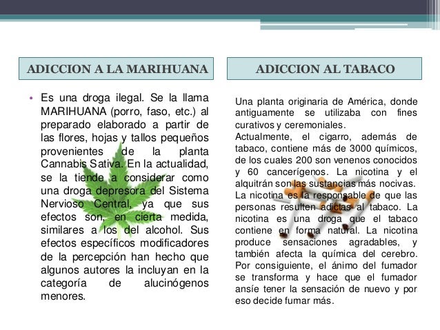La medicina contra el alcoholismo de la primera fase