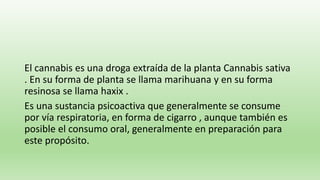 El cannabis es una droga extraída de la planta Cannabis sativa
. En su forma de planta se llama marihuana y en su forma
resinosa se llama haxix .
Es una sustancia psicoactiva que generalmente se consume
por vía respiratoria, en forma de cigarro , aunque también es
posible el consumo oral, generalmente en preparación para
este propósito.
 