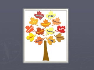 PROYECTO       DE       VIDA