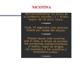 NICOTINA 