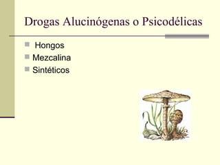 Drogas Alucinógenas o Psicodélicas
 Hongos
 Mezcalina
 Sintéticos
 