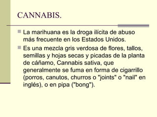 CANNABIS.
 La marihuana es la droga ilícita de abuso
más frecuente en los Estados Unidos.
 Es una mezcla gris verdosa de flores, tallos,
semillas y hojas secas y picadas de la planta
de cáñamo, Cannabis sativa, que
generalmente se fuma en forma de cigarrillo
(porros, canutos, churros o "joints" o "nail" en
inglés), o en pipa ("bong").
 