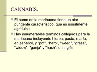 CANNABIS.
 El humo de la marihuana tiene un olor
pungente característico, que es usualmente
agridulce.
 Hay innumerables términos callejeros para la
marihuana incluyendo hierba, pasto, maría,
en español, y "pot", "herb", "weed", "grass",
"widow", "ganja" y "hash", en inglés,
 