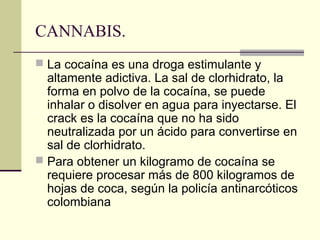 CANNABIS.
 La cocaína es una droga estimulante y
altamente adictiva. La sal de clorhidrato, la
forma en polvo de la cocaína, se puede
inhalar o disolver en agua para inyectarse. El
crack es la cocaína que no ha sido
neutralizada por un ácido para convertirse en
sal de clorhidrato.
 Para obtener un kilogramo de cocaína se
requiere procesar más de 800 kilogramos de
hojas de coca, según la policía antinarcóticos
colombiana
 