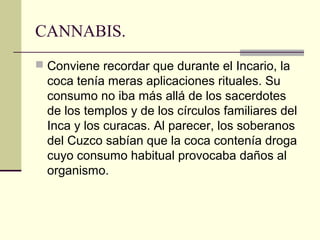 CANNABIS.
 Conviene recordar que durante el Incario, la
coca tenía meras aplicaciones rituales. Su
consumo no iba más allá de los sacerdotes
de los templos y de los círculos familiares del
Inca y los curacas. Al parecer, los soberanos
del Cuzco sabían que la coca contenía droga
cuyo consumo habitual provocaba daños al
organismo.
 