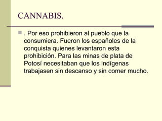 CANNABIS.
 . Por eso prohibieron al pueblo que la
consumiera. Fueron los españoles de la
conquista quienes levantaron esta
prohibición. Para las minas de plata de
Potosí necesitaban que los indígenas
trabajasen sin descanso y sin comer mucho.
 