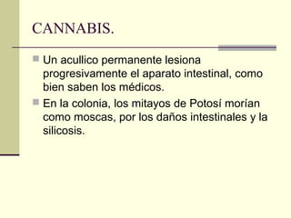 CANNABIS.
 Un acullico permanente lesiona
progresivamente el aparato intestinal, como
bien saben los médicos.
 En la colonia, los mitayos de Potosí morían
como moscas, por los daños intestinales y la
silicosis.
 